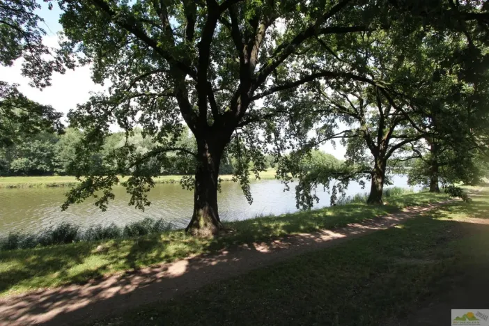 Pronájem bytu 2+kk, Pardubice - Zelené Předměstí, nábřeží Závodu míru, 61 m2