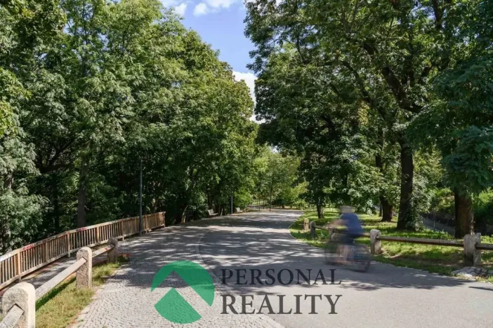 Pronájem bytu 3+1, Praha, U akademie, 130 m2