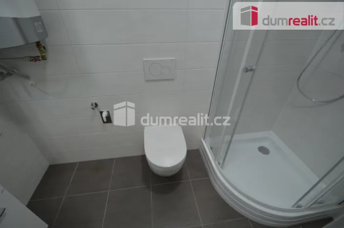 Pronájem bytu 1+kk, Praha - Nusle, Marie Cibulkové, 30 m2