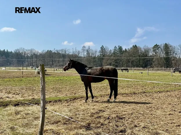 Prodej zemědělského objektu, Spálené Poříčí, 1300 m2