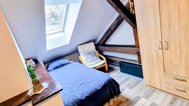 Pronájem bytu 3+1, Jihlava, Mlýnská, 135 m2