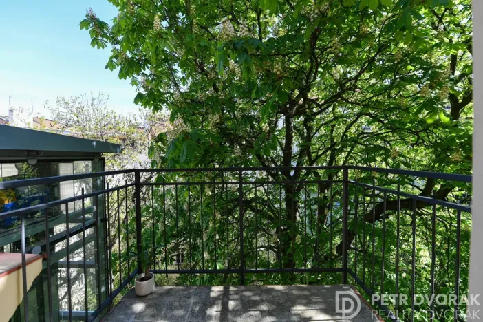 Pronájem bytu 2+kk, Praha - Vinohrady, Mánesova, 46 m2