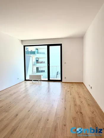 Pronájem bytu 1+kk, Plzeň, Železná, 34 m2