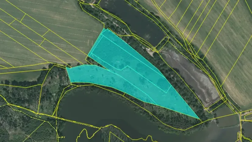 Prodej lesa, Chotoviny, 35440 m2