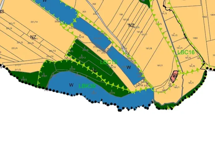 Prodej lesa, Chotoviny, 35440 m2