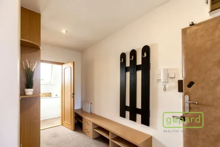 Pronájem bytu 5+kk, Brno, Slámova, 150 m2