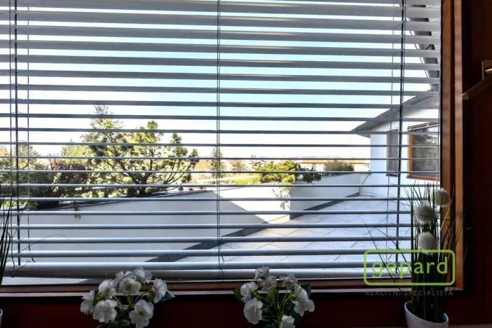 Pronájem bytu 5+kk, Brno, Slámova, 150 m2