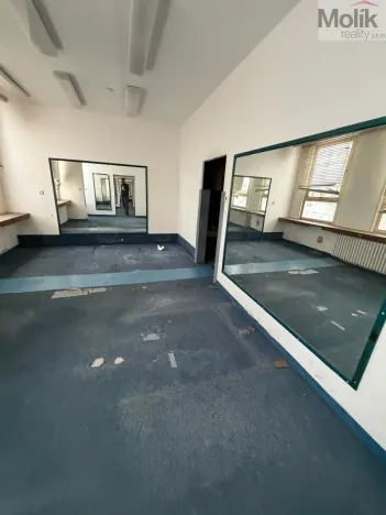Pronájem skladu, Most, Albrechtická, 500 m2