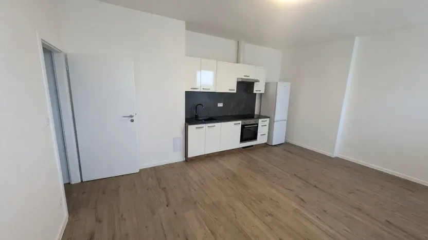 Pronájem apartmánu, Most, Františka Halase, 68 m2