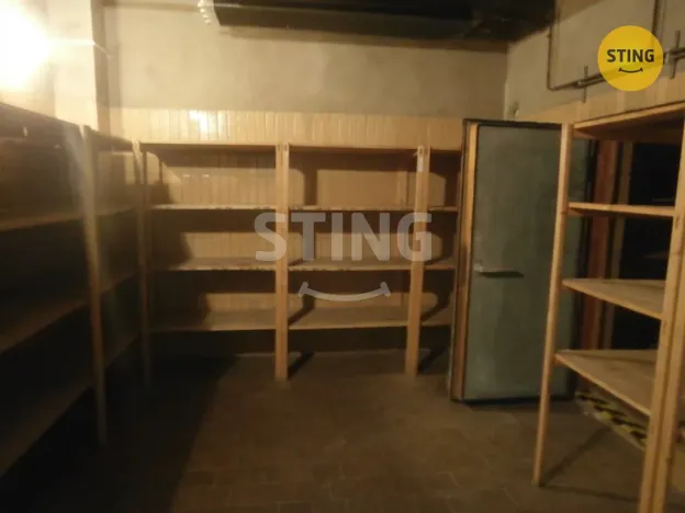 Pronájem obchodního prostoru, Opava - Kylešovice, Hlavní, 240 m2