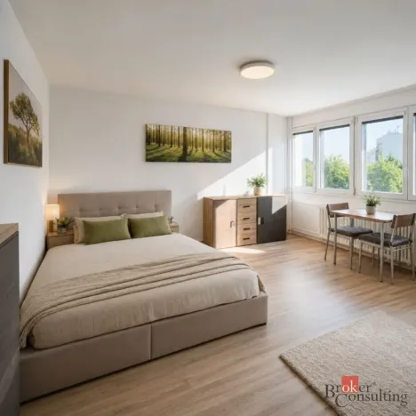 Prodej bytu 1+kk, Hradec Králové - Slezské Předměstí, Severní, 27 m2