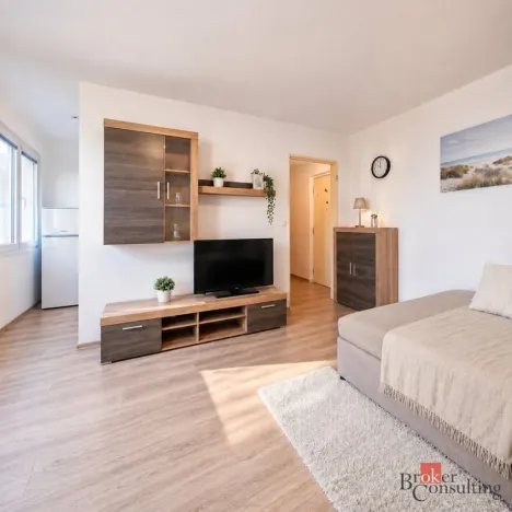 Prodej bytu 1+kk, Hradec Králové - Slezské Předměstí, Severní, 27 m2