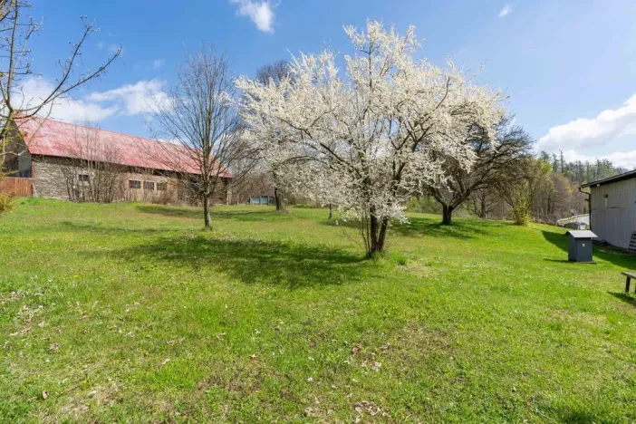 Prodej obchodního prostoru, Václavov u Bruntálu - Horní Václavov, 167 m2