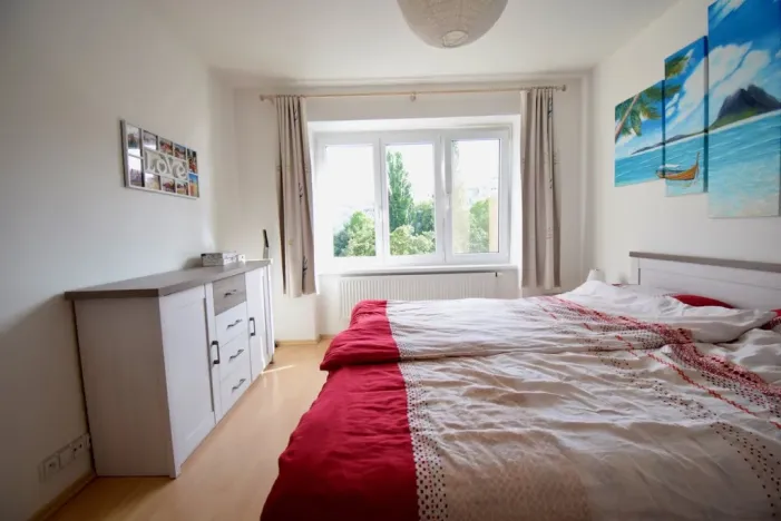 Pronájem bytu 2+1, Brno - Štýřice, Dvorského, 50 m2