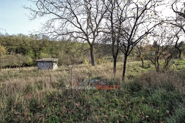 Pronájem zahrady, Znojmo, 3635 m2