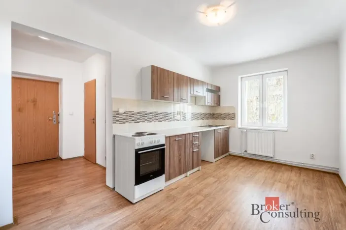 Prodej bytu 1+1, Ostrava - Přívoz, Palackého, 41 m2