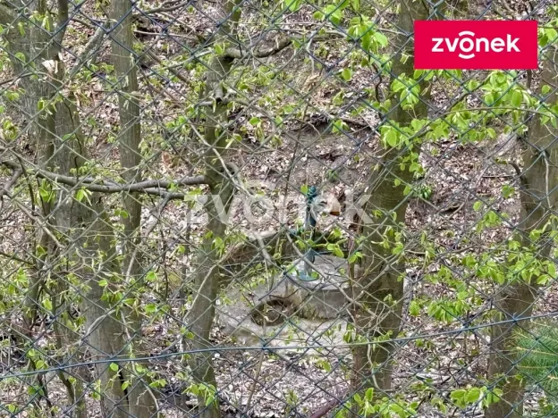 Prodej rodinného domu, Zlín - Příluky, 180 m2