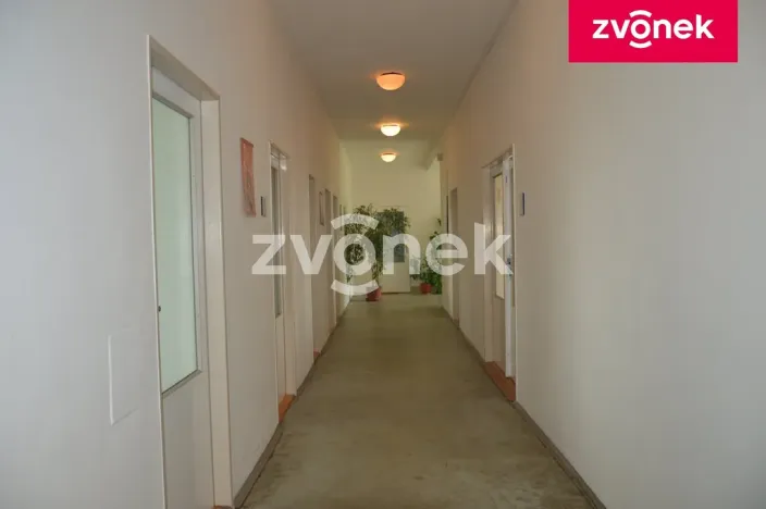 Pronájem obchodního prostoru, Bystřice pod Hostýnem, 270 m2