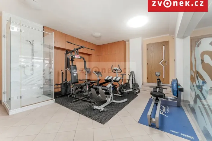 Prodej vily, Hranice, Pod Bílým kamenem, 540 m2