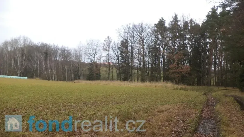 Prodej pole, Malovice, 5875 m2