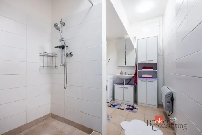 Prodej bytu 1+1, Ostrava - Mariánské Hory, Korunní, 48 m2