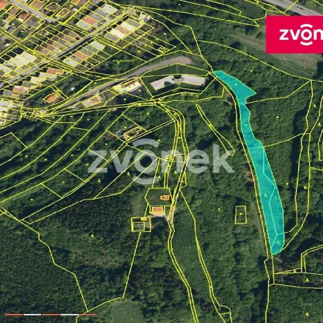 Prodej lesa, Vsetín - Rokytnice, 4429 m2