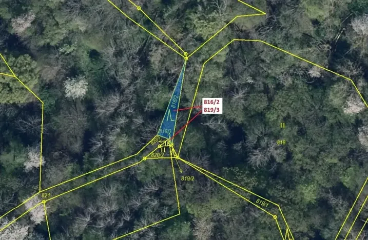 Dražba lesa, Zubrnice, 85 m2