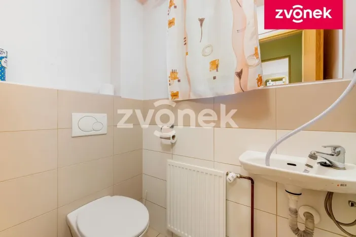 Prodej chalupy, Velké Karlovice, 250 m2