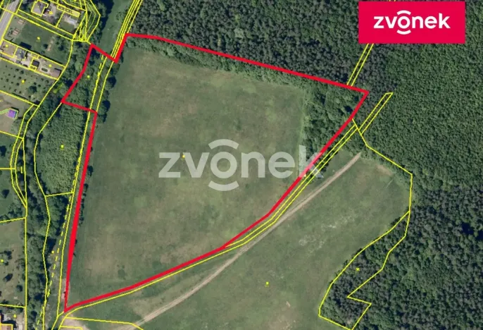 Prodej louky, Šarovy, 44190 m2