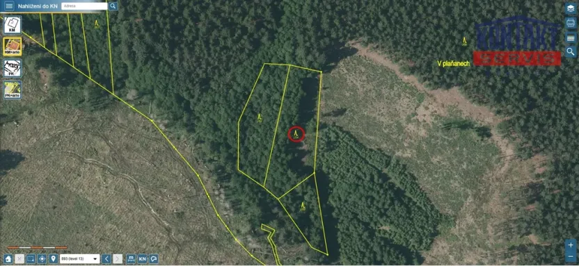 Prodej lesa, Načeradec - Horní Lhota, 3382 m2