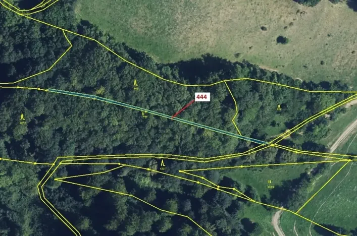 Dražba lesa, Městečko Trnávka, 302 m2