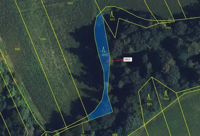 Dražba lesa, Spešov, 500 m2