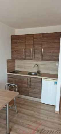 Pronájem bytu 1+kk, Ostrava - Moravská Ostrava, Lechowiczova, 30 m2