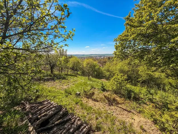 Prodej chaty, Slavkov u Brna, Palackého náměstí, 16 m2