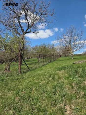 Prodej zahrady, Křenovice, 4967 m2