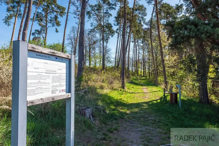 Prodej rodinného domu, Týnec nad Sázavou, Luční, 147 m2
