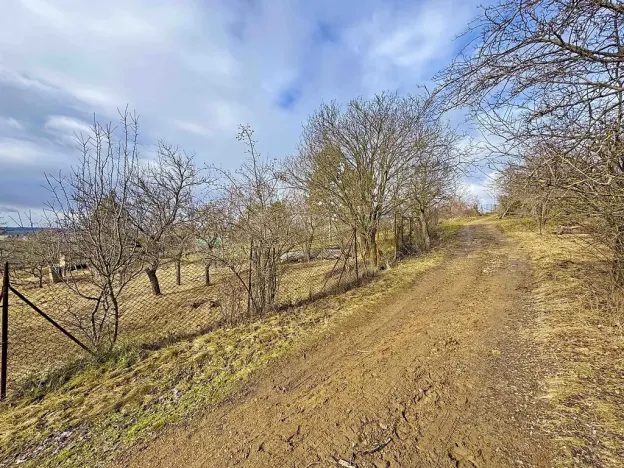 Prodej zahrady, Brno, Jámy, 1885 m2