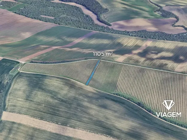 Prodej podílu pole, Šitbořice, 368 m2