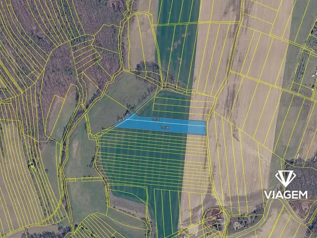 Prodej pole, Dobrkovice, 6868 m2