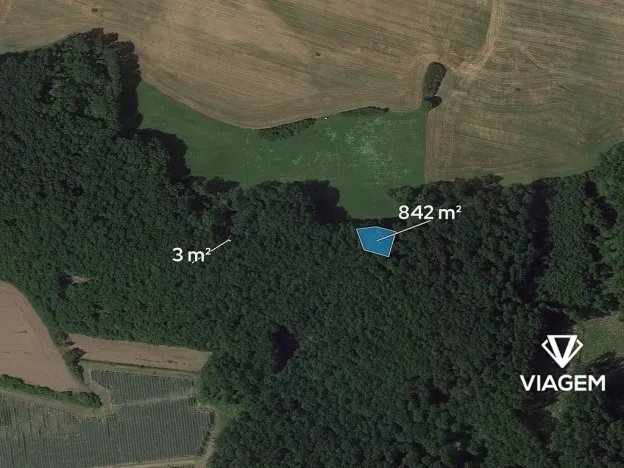 Prodej lesa, Dolní Bousov, 845 m2