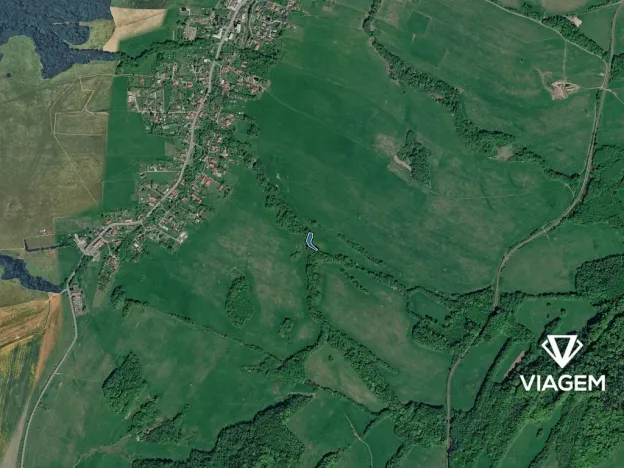 Prodej lesa, Ženklava, 1238 m2