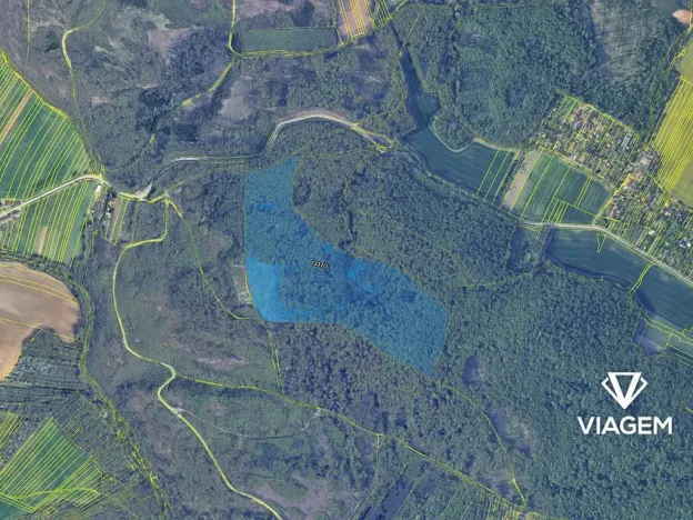 Prodej podílu lesa, Troubsko, 5672 m2