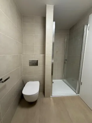 Pronájem bytu 1+kk, Plzeň, Kartónová, 39 m2