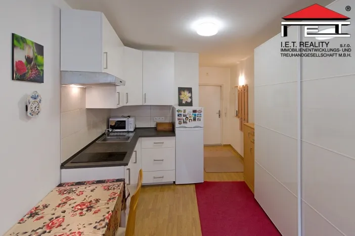 Pronájem bytu 1+kk, Praha - Libeň, Drahobejlova, 22 m2