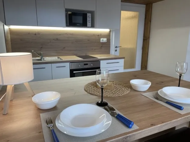 Pronájem bytu 1+kk, Ostrava - Přívoz, Palackého, 27 m2