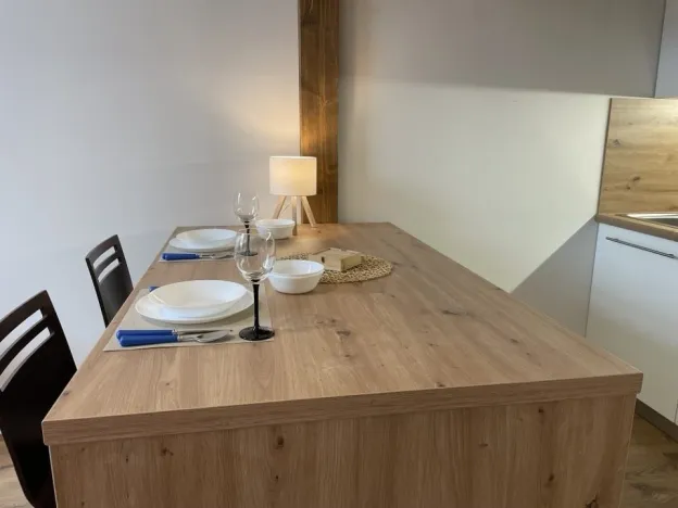 Pronájem bytu 1+kk, Ostrava - Přívoz, Palackého, 27 m2