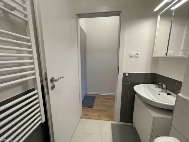 Pronájem bytu 1+kk, Ostrava - Přívoz, Palackého, 27 m2