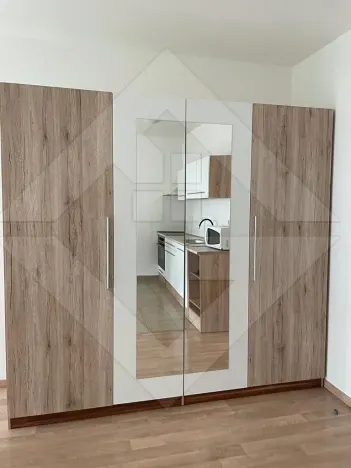 Pronájem bytu 1+kk, Praha - Žižkov, Olgy Havlové, 37 m2