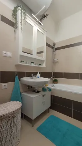 Pronájem bytu 3+kk, České Budějovice - České Budějovice 3, Riegrova, 70 m2