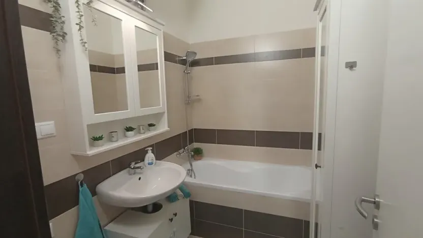 Pronájem bytu 3+kk, České Budějovice - České Budějovice 3, Riegrova, 70 m2